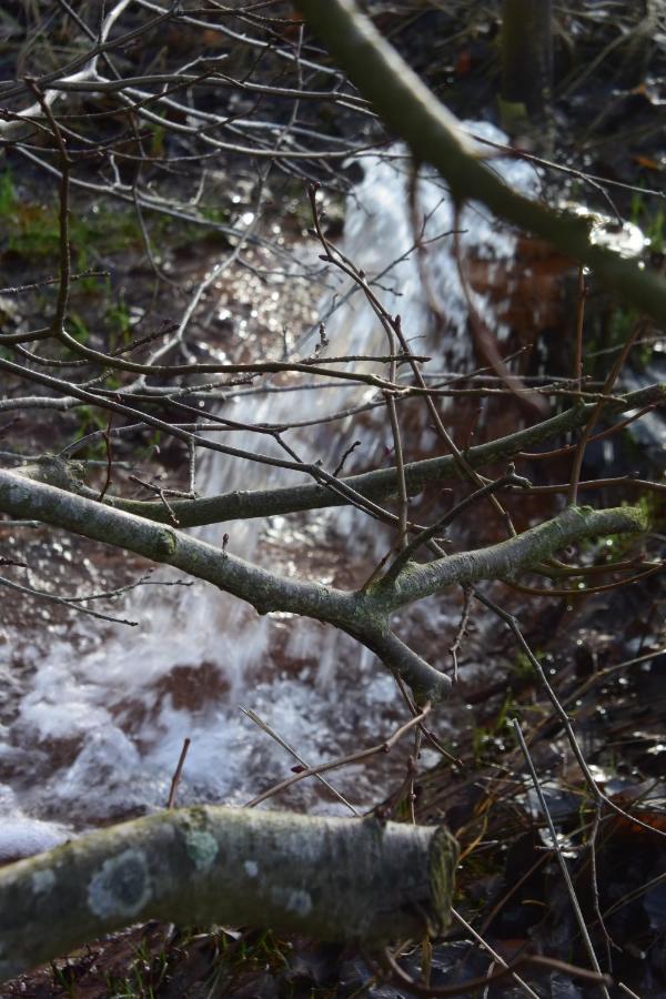 Appartamento Vittebrook Barsbek Esterno foto